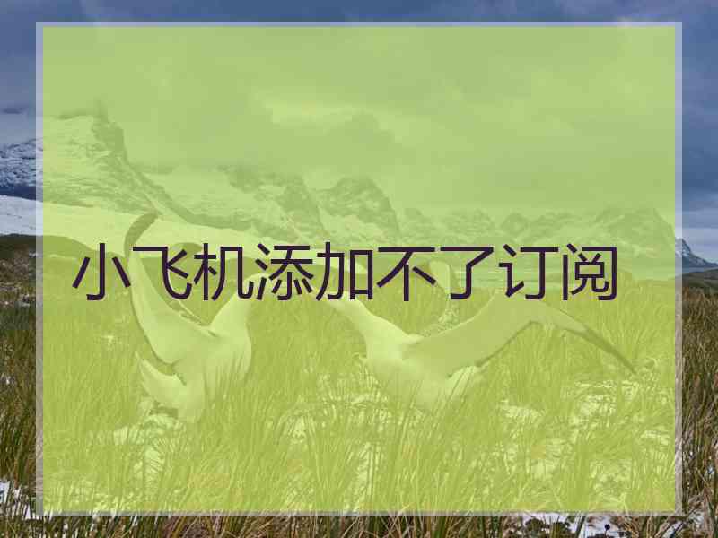 小飞机添加不了订阅