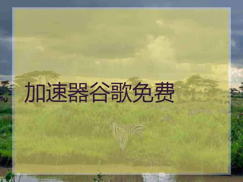 加速器谷歌免费