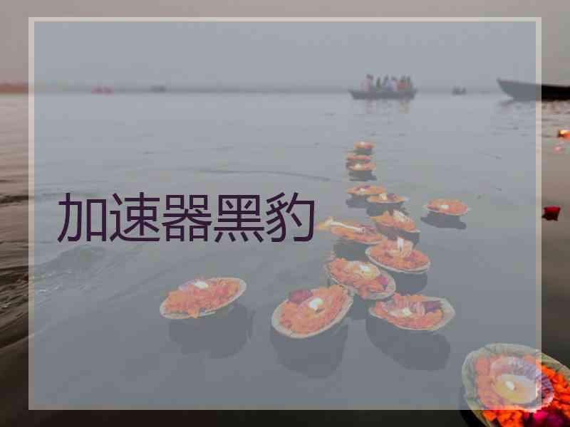 加速器黑豹