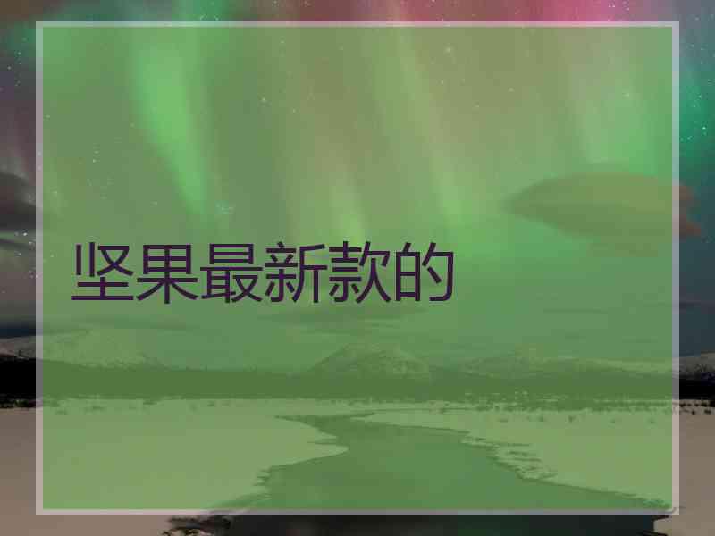 坚果最新款的