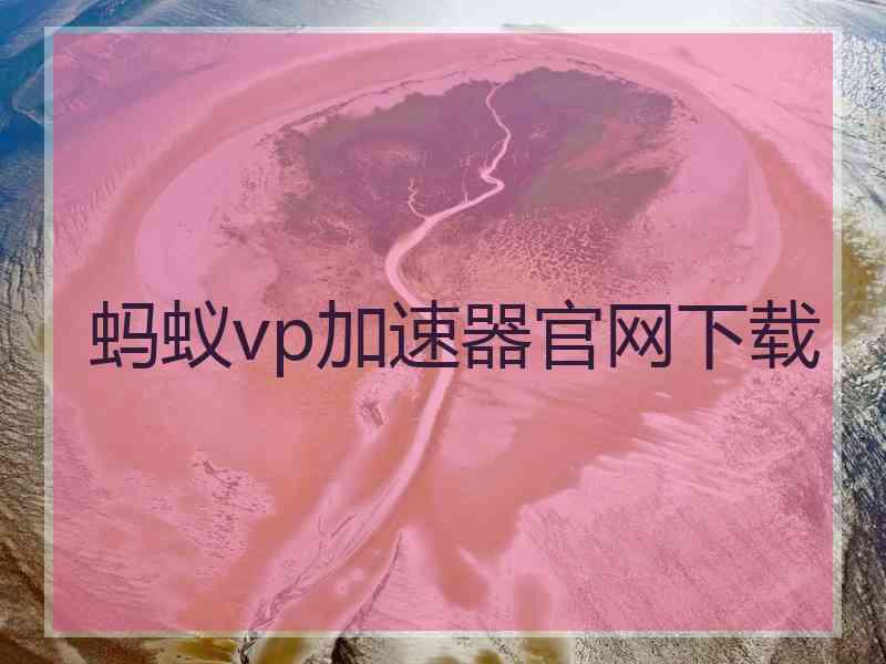 蚂蚁vp加速器官网下载