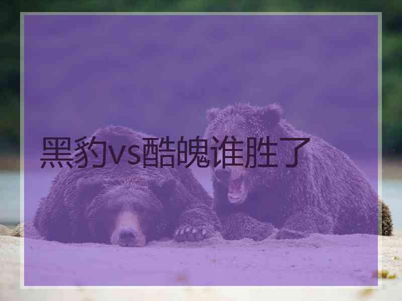 黑豹vs酷魄谁胜了