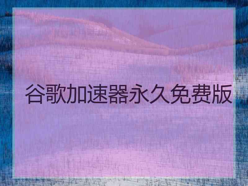 谷歌加速器永久免费版