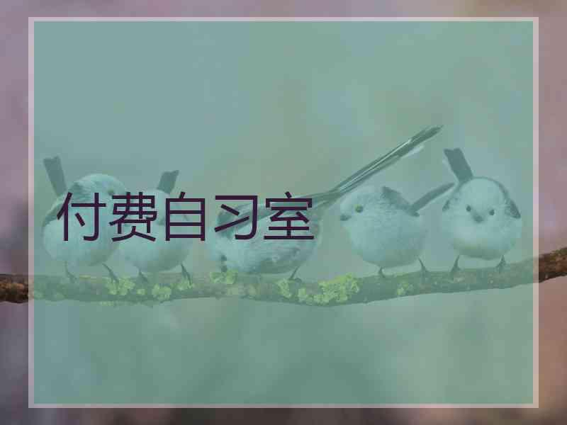 付费自习室
