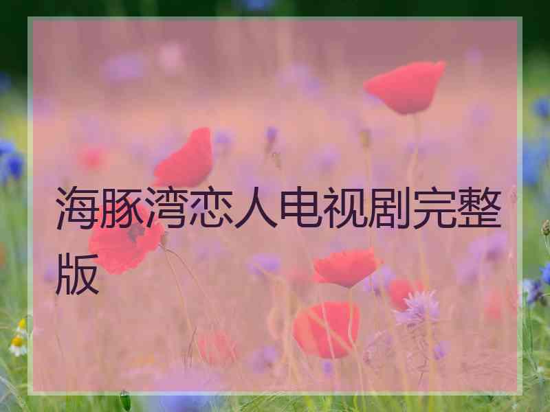海豚湾恋人电视剧完整版