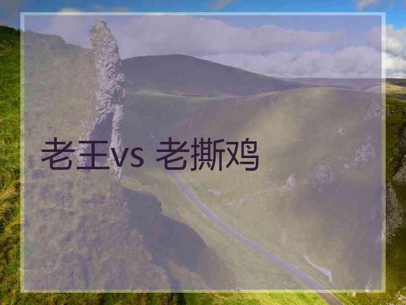 老王vs 老撕鸡