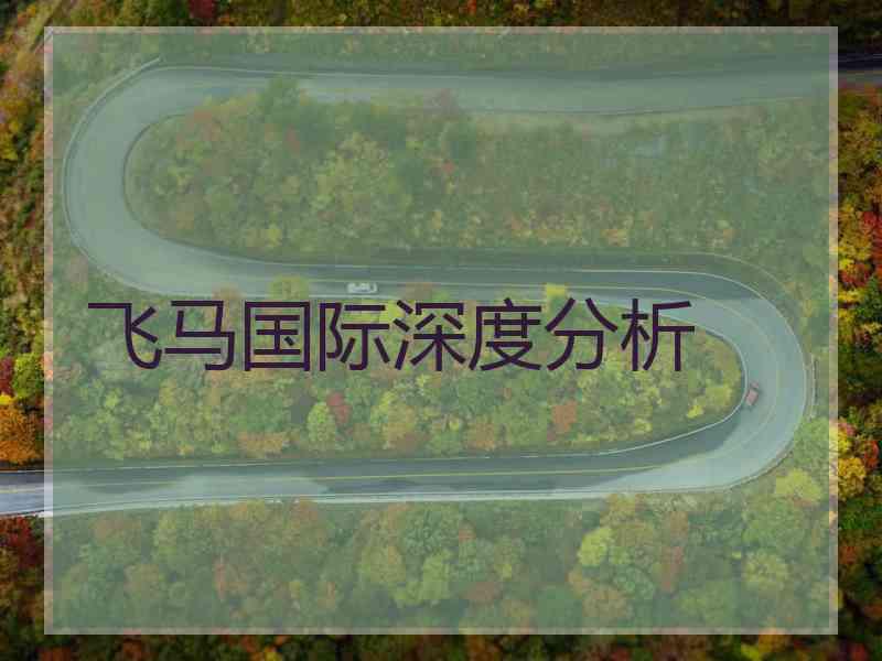飞马国际深度分析