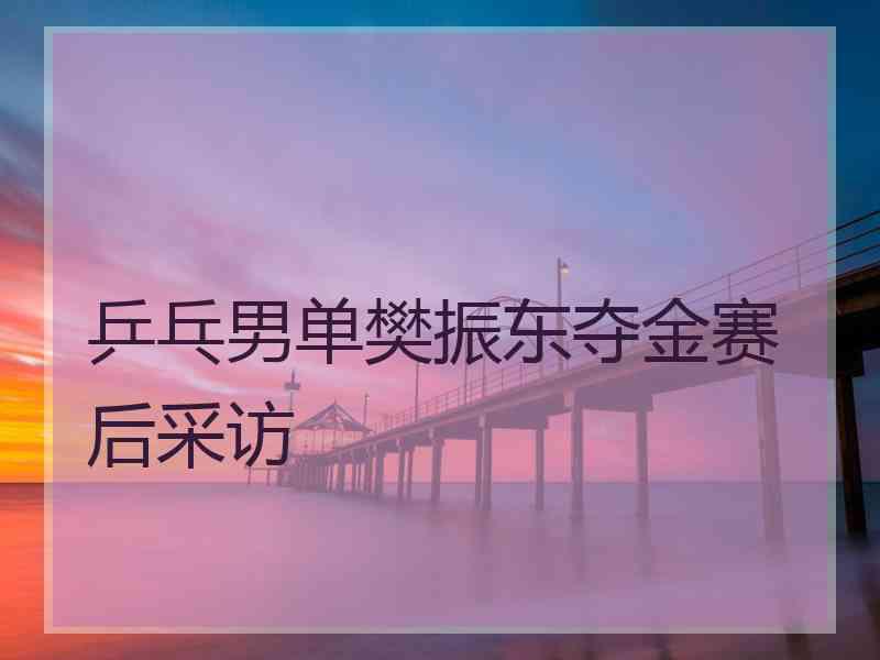 乒乓男单樊振东夺金赛后采访