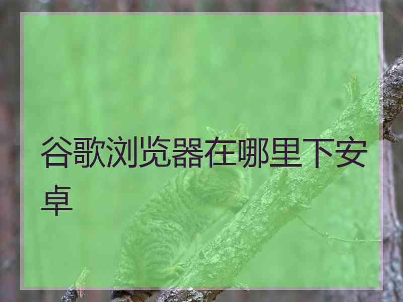 谷歌浏览器在哪里下安卓