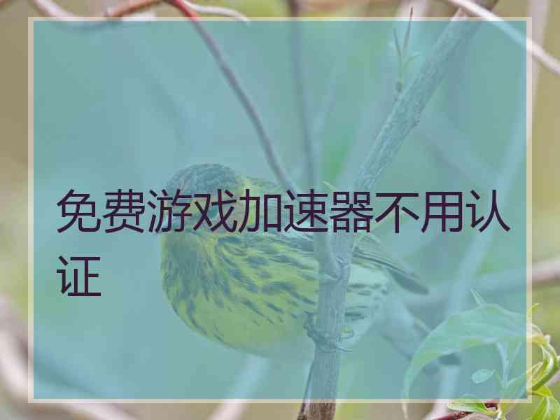 免费游戏加速器不用认证