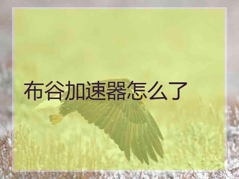 布谷加速器怎么了