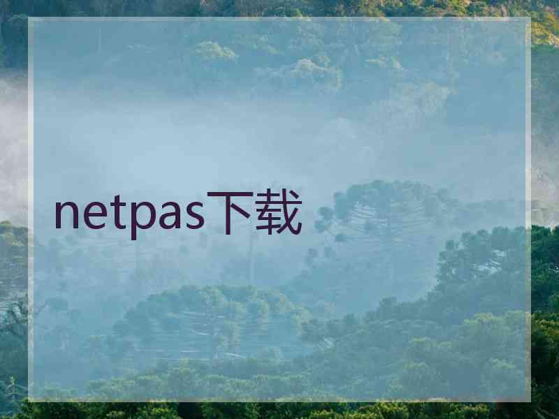 netpas下载