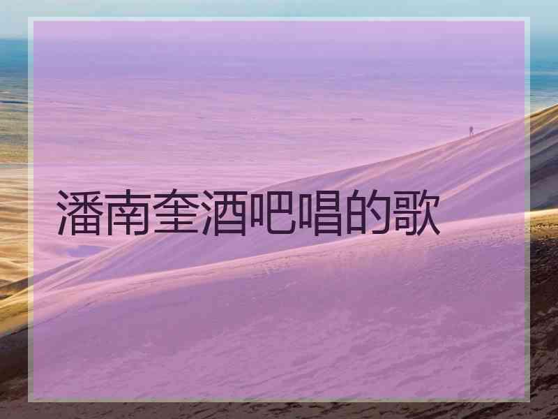 潘南奎酒吧唱的歌