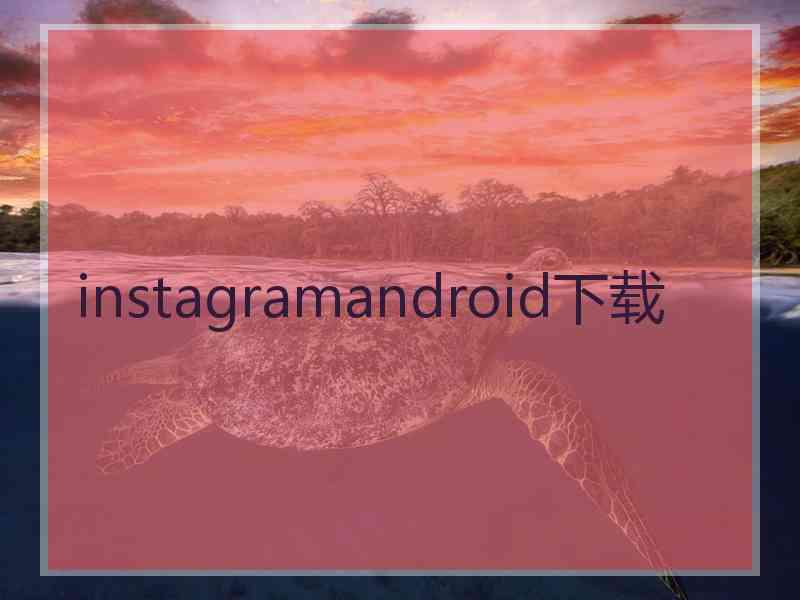 instagramandroid下载