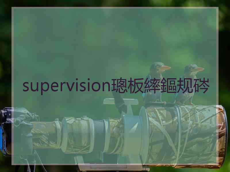 supervision璁板繂鏂规硶