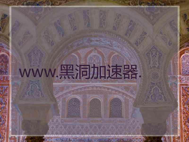 www.黑洞加速器.