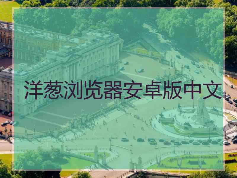 洋葱浏览器安卓版中文