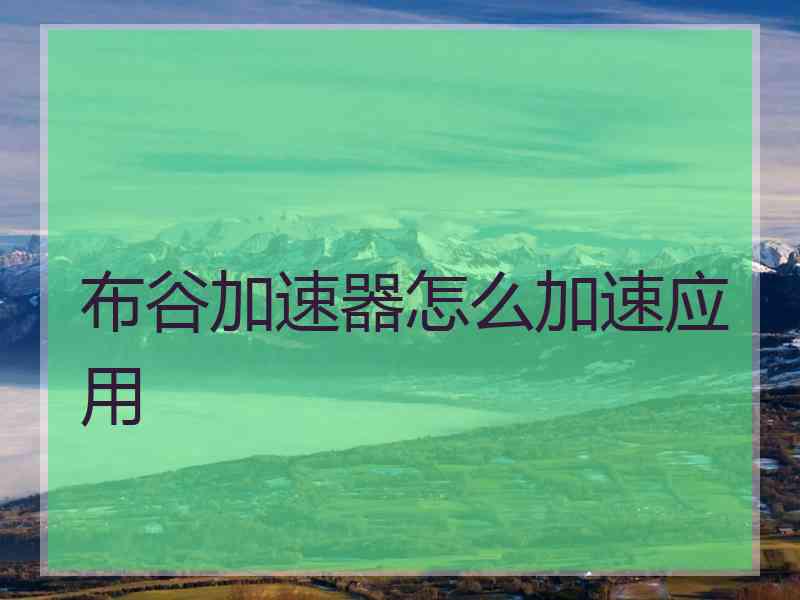 布谷加速器怎么加速应用