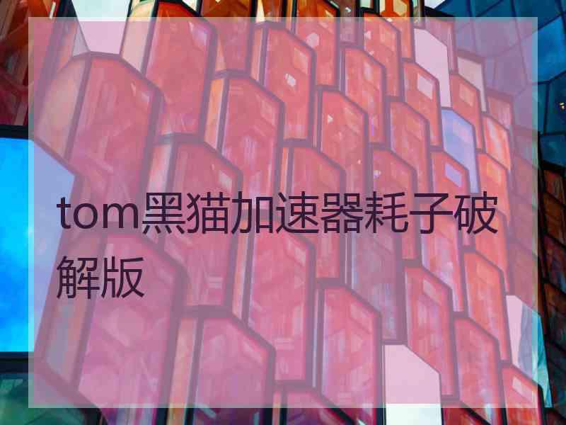 tom黑猫加速器耗子破解版