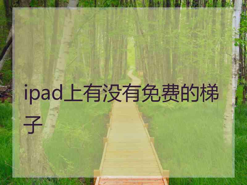 ipad上有没有免费的梯子