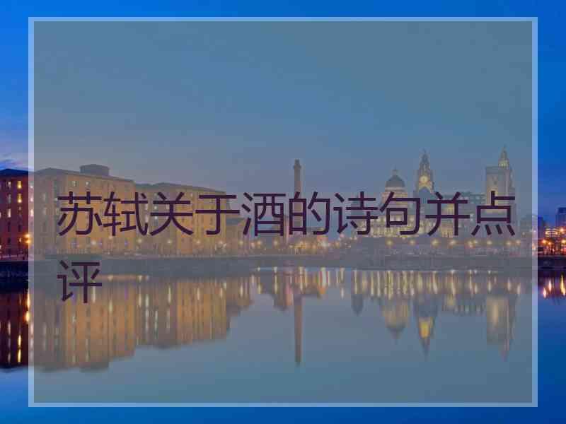 苏轼关于酒的诗句并点评