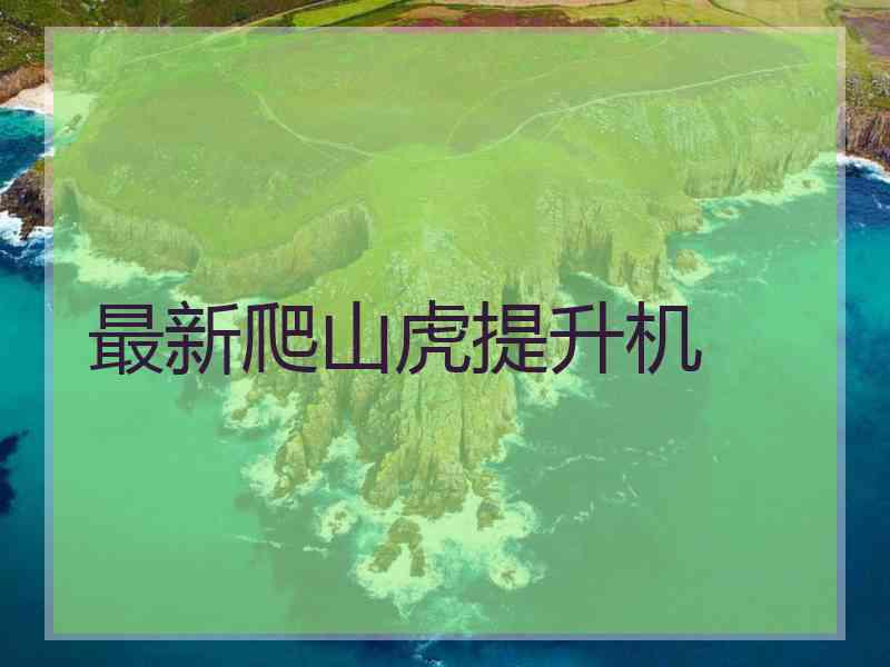 最新爬山虎提升机