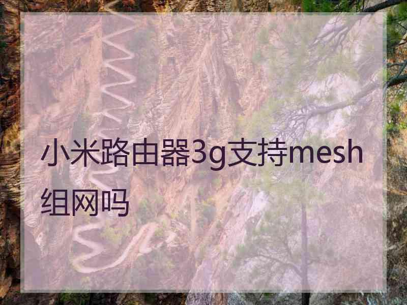小米路由器3g支持mesh组网吗