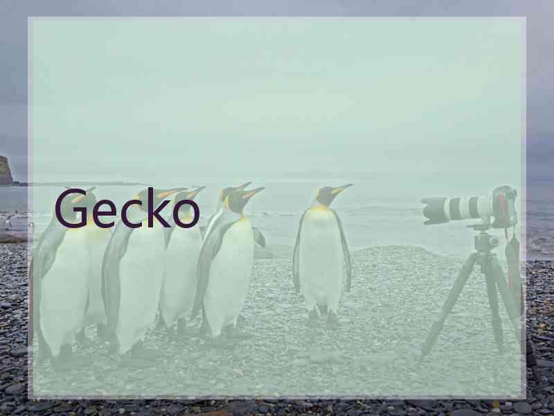 Gecko