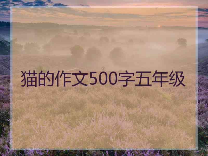 猫的作文500字五年级
