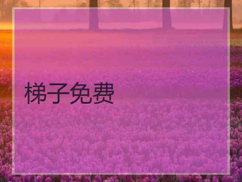梯子免费
