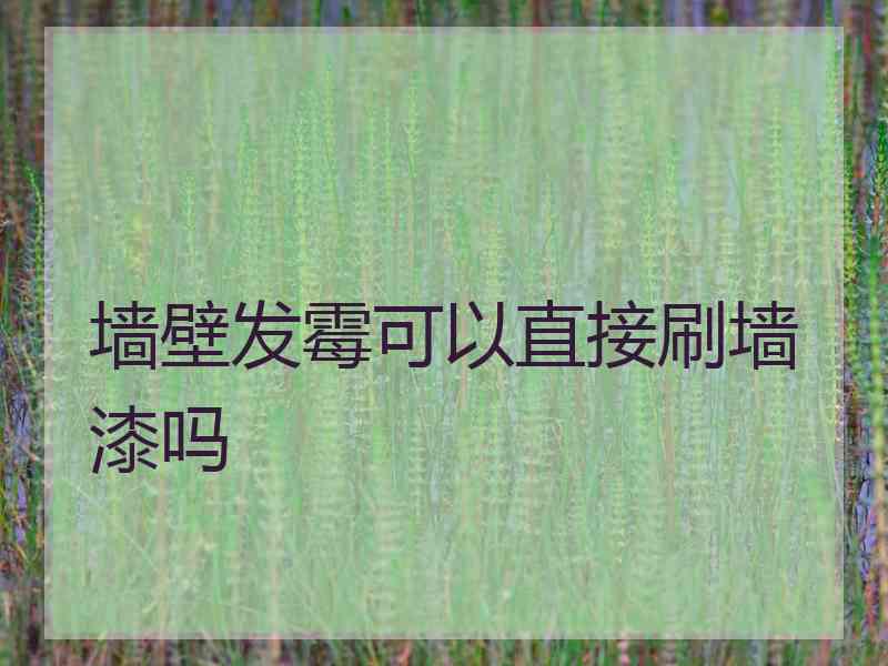墙壁发霉可以直接刷墙漆吗