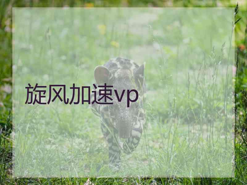 旋风加速vp