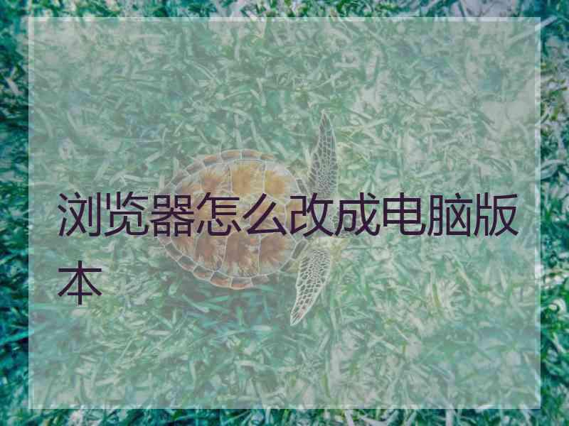 浏览器怎么改成电脑版本