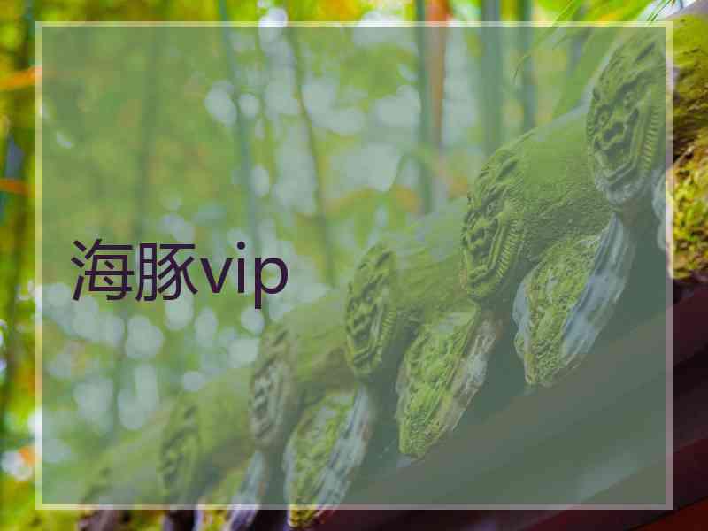 海豚vip