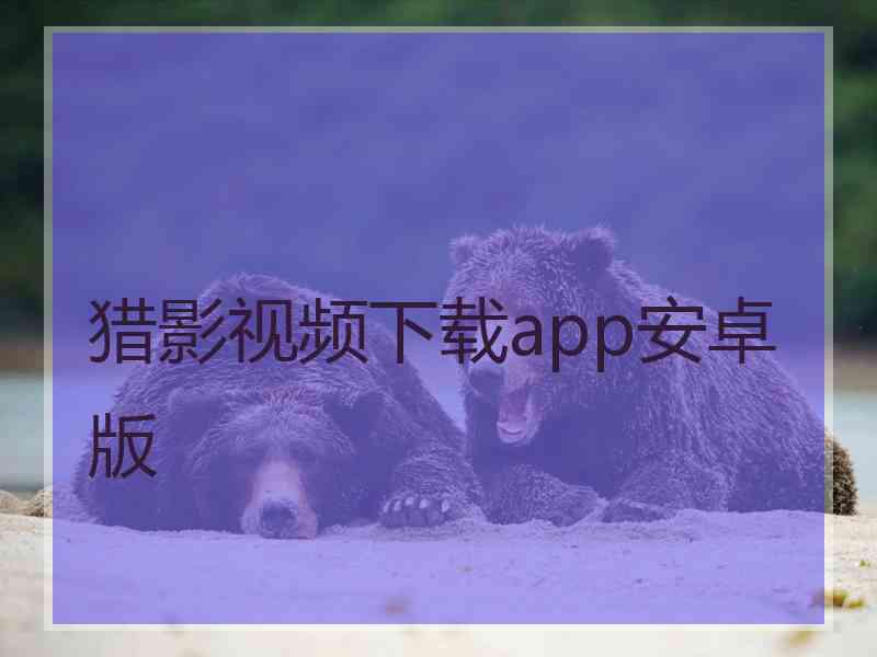 猎影视频下载app安卓版