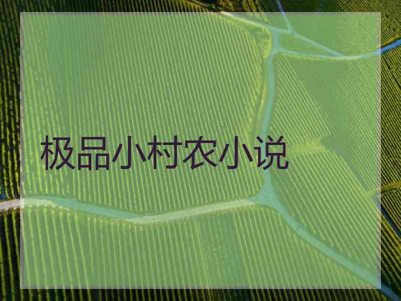 极品小村农小说