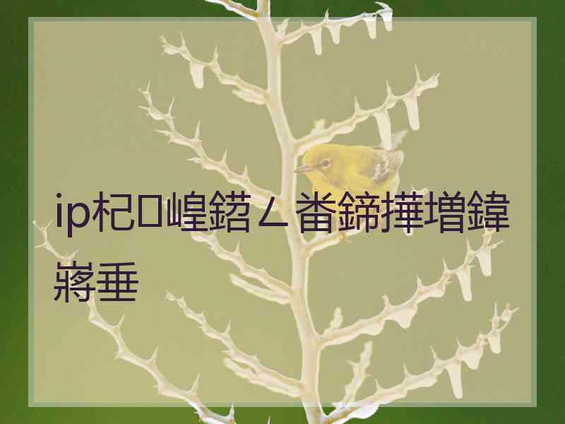 ip杞崲鍣ㄥ畨鍗撶増鍏嶈垂
