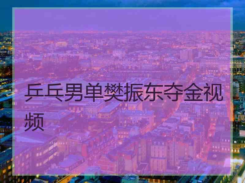 乒乓男单樊振东夺金视频