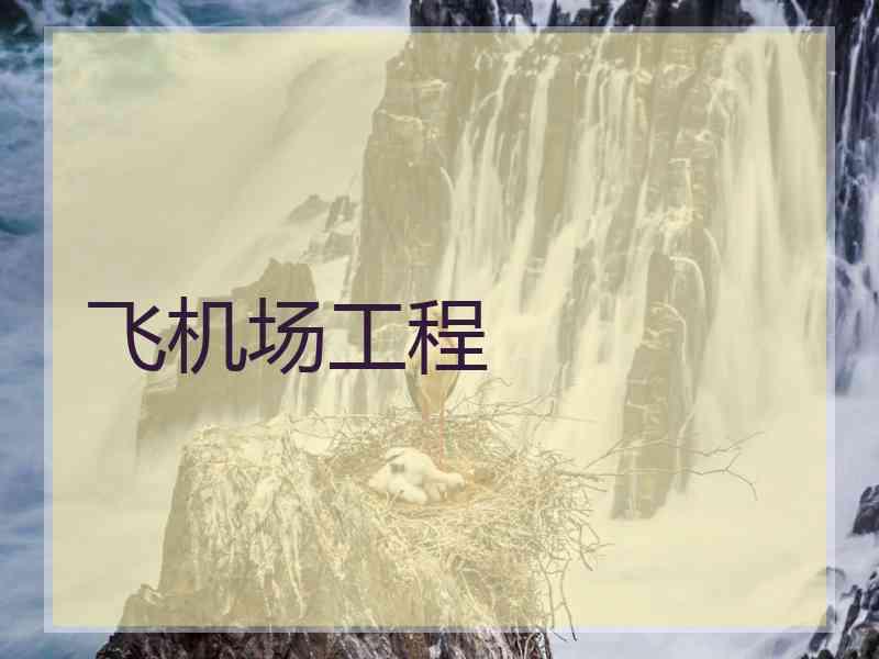 飞机场工程