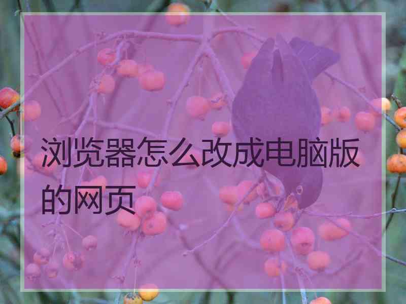 浏览器怎么改成电脑版的网页