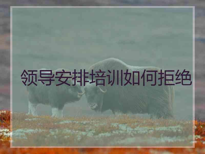 领导安排培训如何拒绝