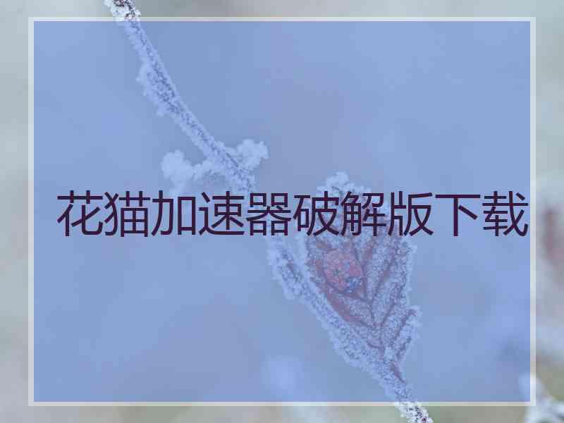 花猫加速器破解版下载