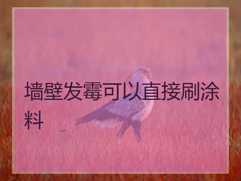 墙壁发霉可以直接刷涂料
