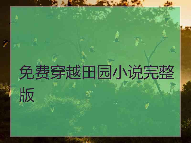 免费穿越田园小说完整版
