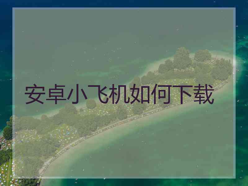 安卓小飞机如何下载