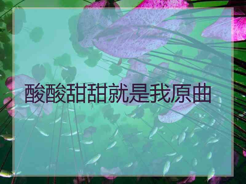 酸酸甜甜就是我原曲