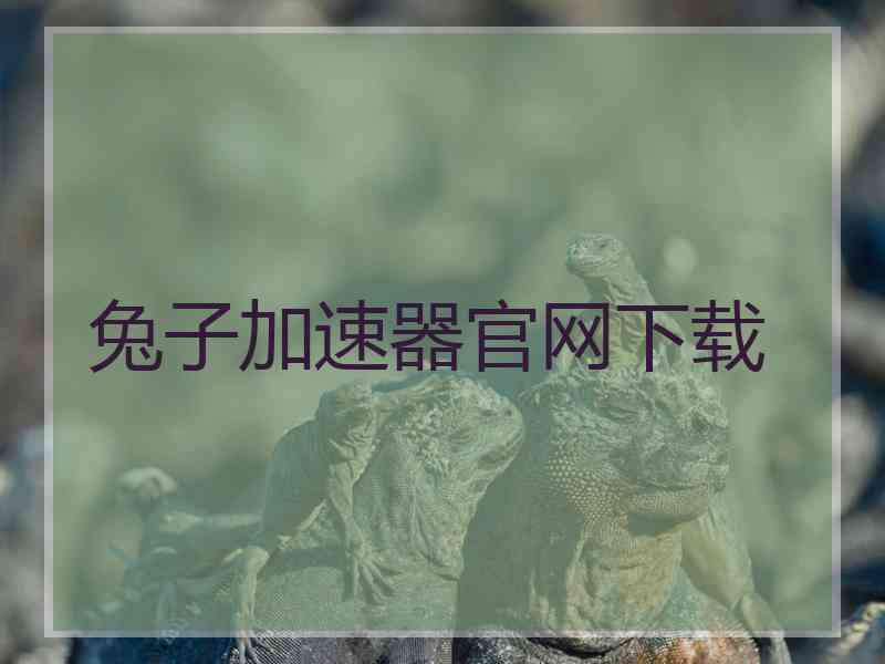 兔子加速器官网下载