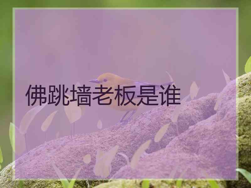 佛跳墙老板是谁