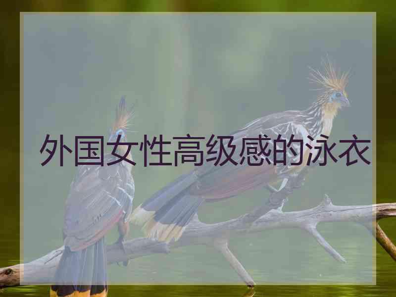 外国女性高级感的泳衣