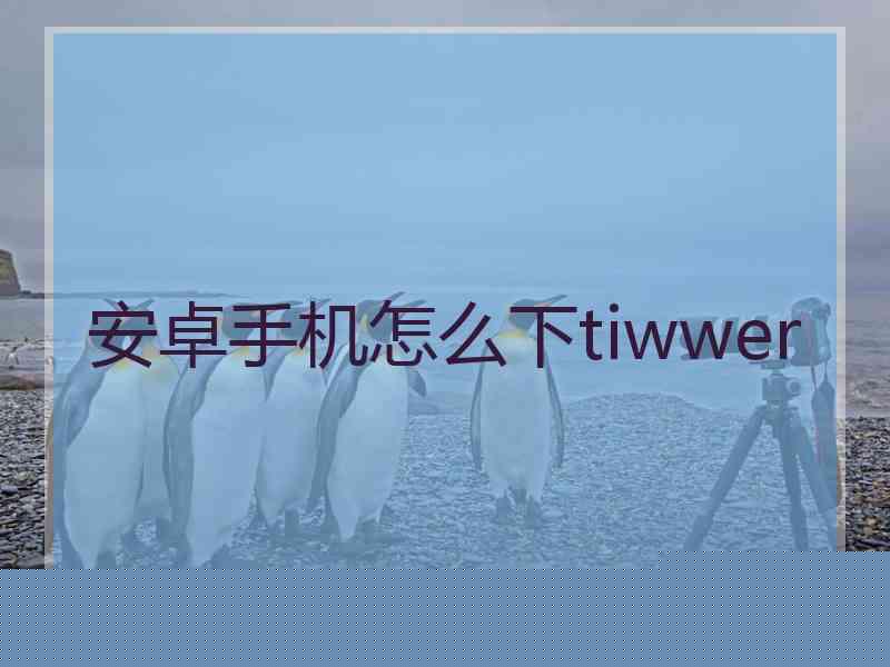 安卓手机怎么下tiwwer